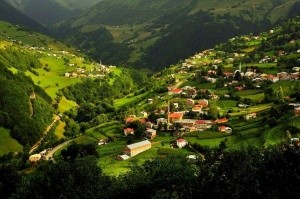 hamsiköy قرية همسي كوي