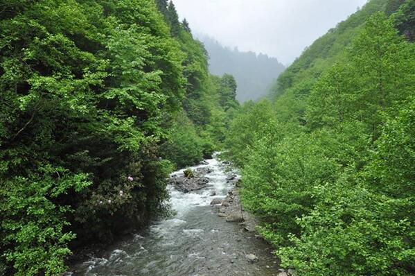 مرتفعات كاياباتشي