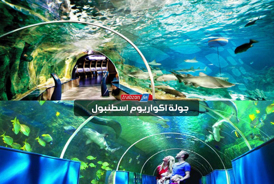 جولة اكوايوم اسطنبول
