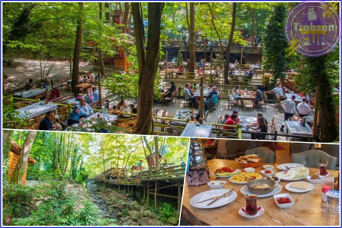 رحلة الوصول الى معشوقية