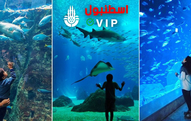 أكواريوم في فلوريا, اماكن سياحية في اسطنبول