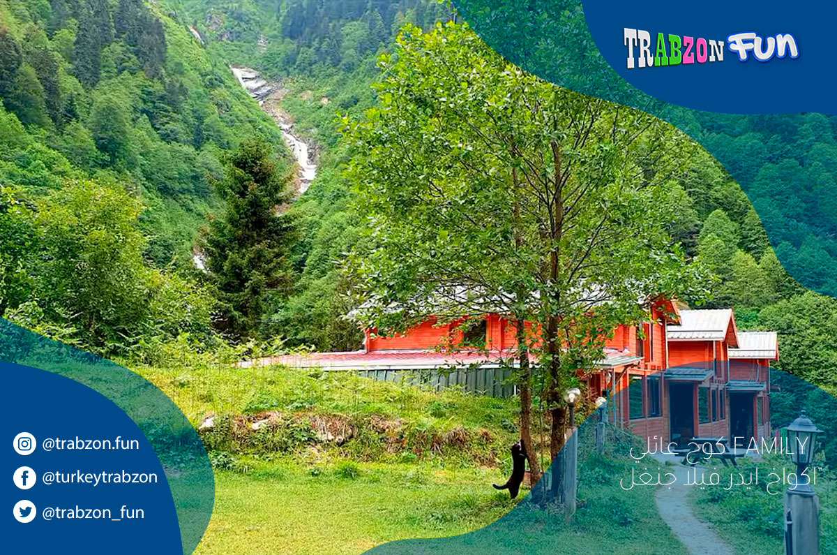 اكواخ ايدر فيلا جنغل