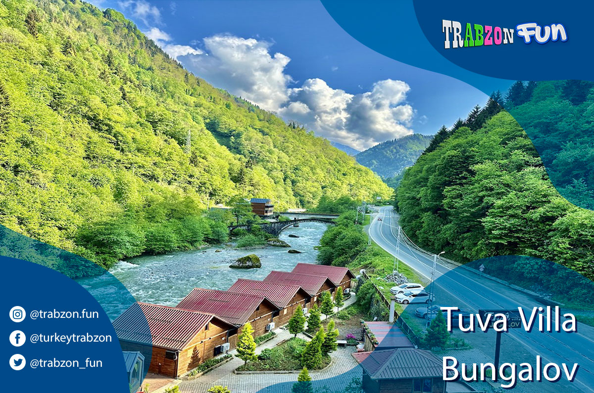 أكواخ ايدر الخشبية مطلة على النهر والجبال الخضراء - ريزة تركيا