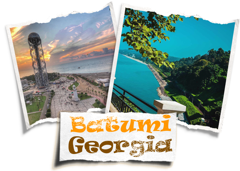 برنامج داخل باتومي سيارة مع سائق