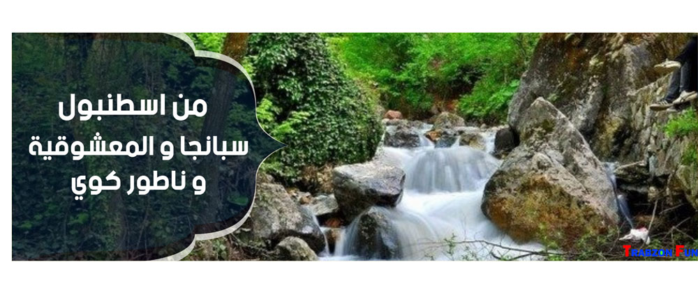صبنجه