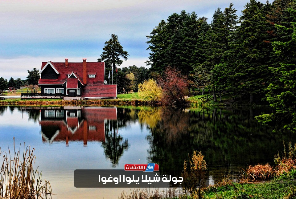 جولة يلوا