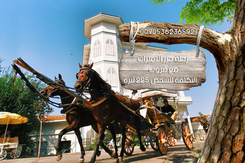 رحلة جزيرة الاميرات مع قروب, رحلات اسطنبول مع قروب, رحلات سياحية في اسطنبول
