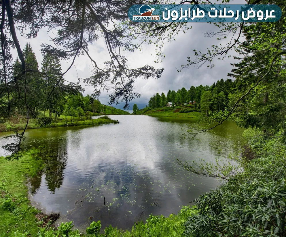 حيدر نبي HIDIRNEBI