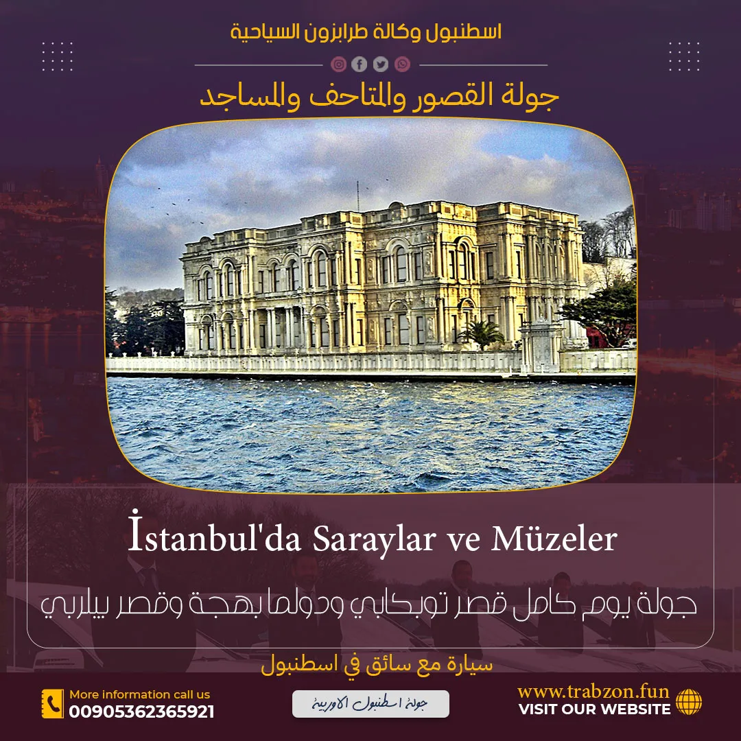 جولة القصور والمتاحف سيارة خاصة مع سائق