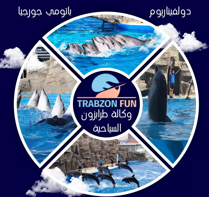 دولفناريوم باتومي, جولة باتومي