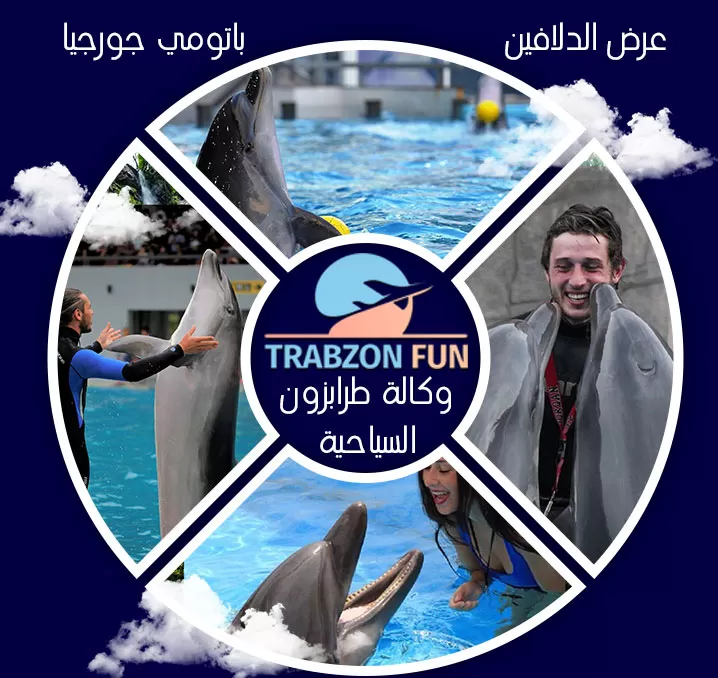 عرض الدلافين