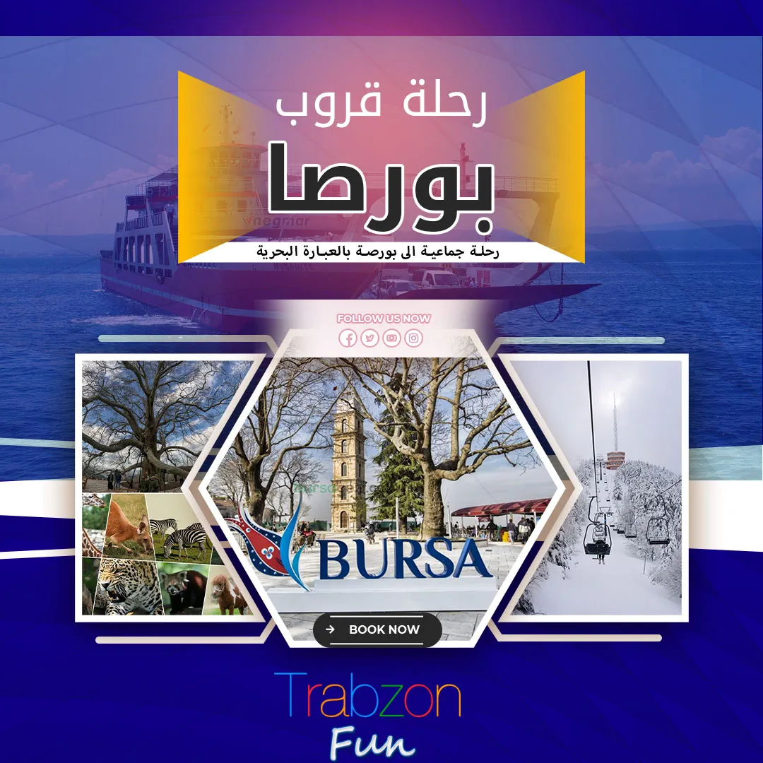 رحلة بورصة مع قروب, رحلات اليوم الواحد من اسطنبول