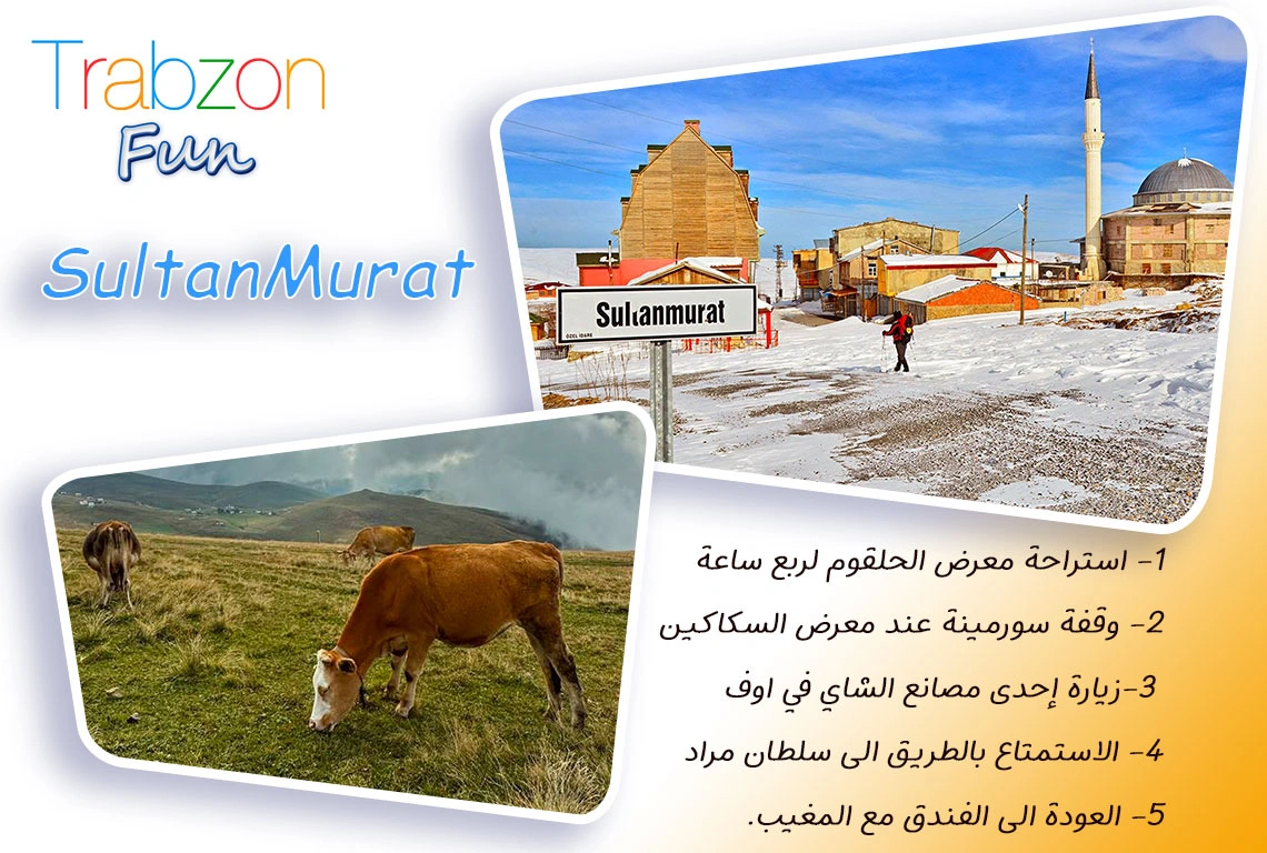عرض 7 ليالي في طرابزون