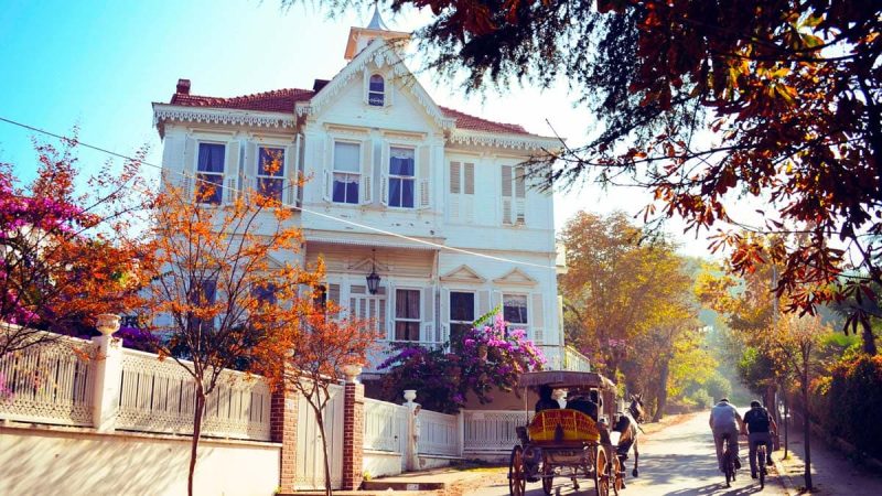 جزيرة الاميرات