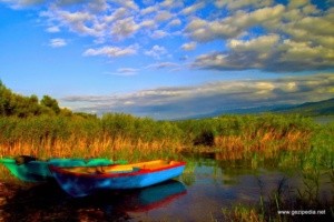 بحيرة سبانجا
