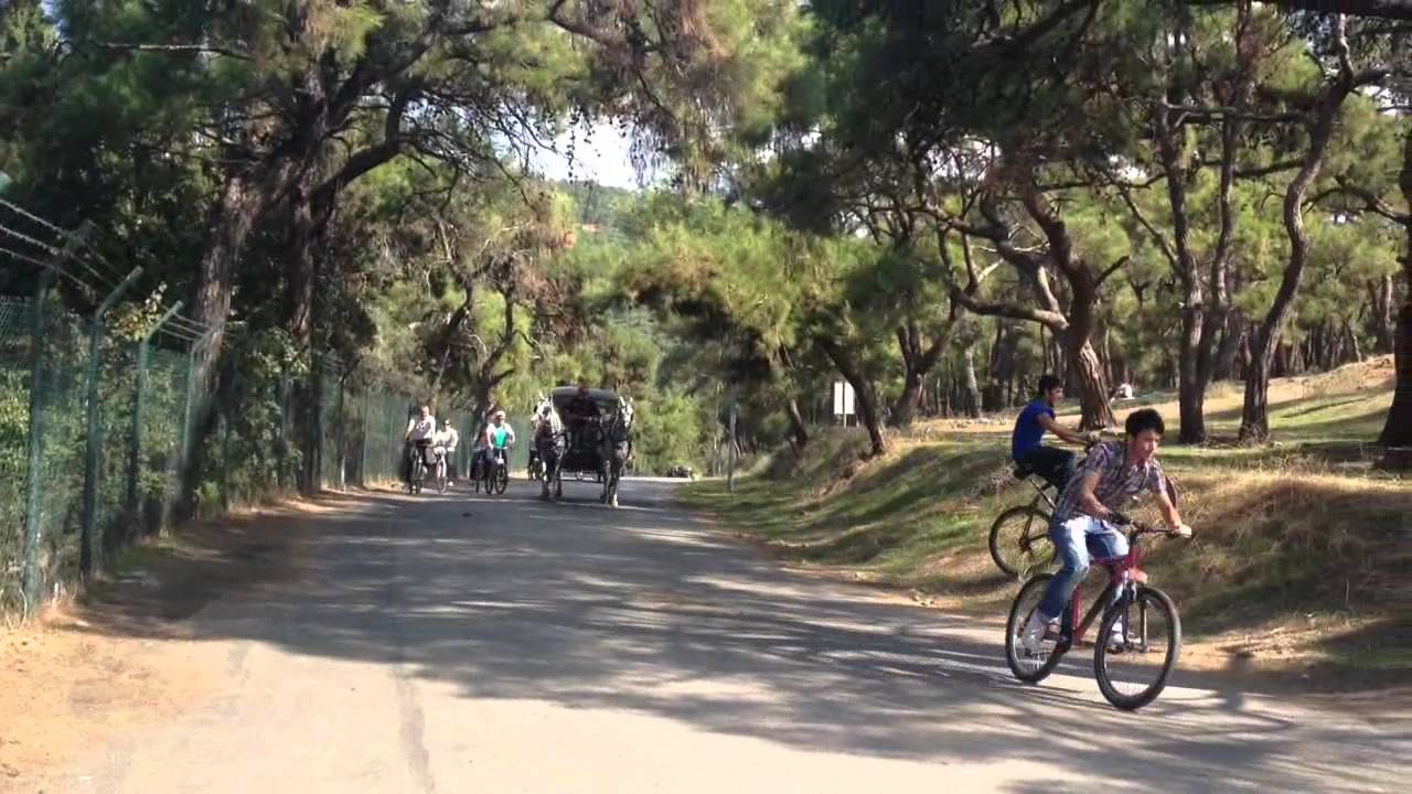 جولة جزيرة الأميرات