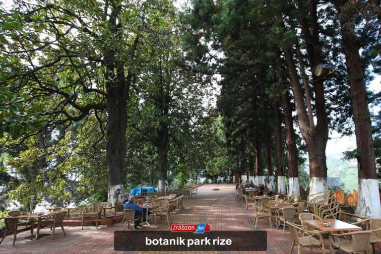 botanik park rize حديقة بوتانيك ريزا