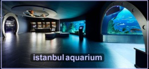 istanbul aquarium