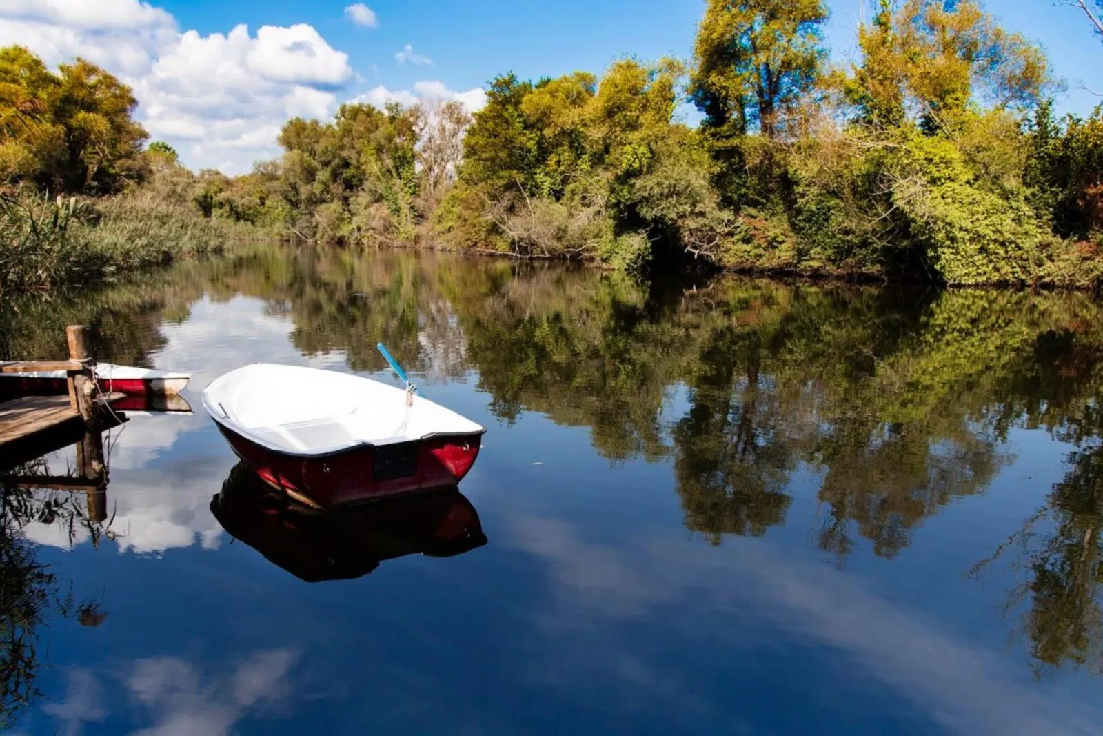 رحلة شيلا واغوا الخاصة