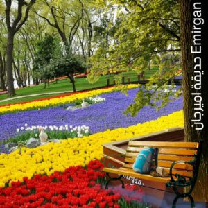 حديقة اميرجان Emirgan‏
