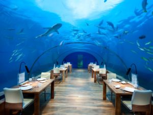 Istanbul Aquarium