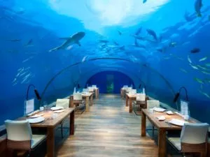 Istanbul Aquarium