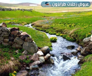 سلطان مراد