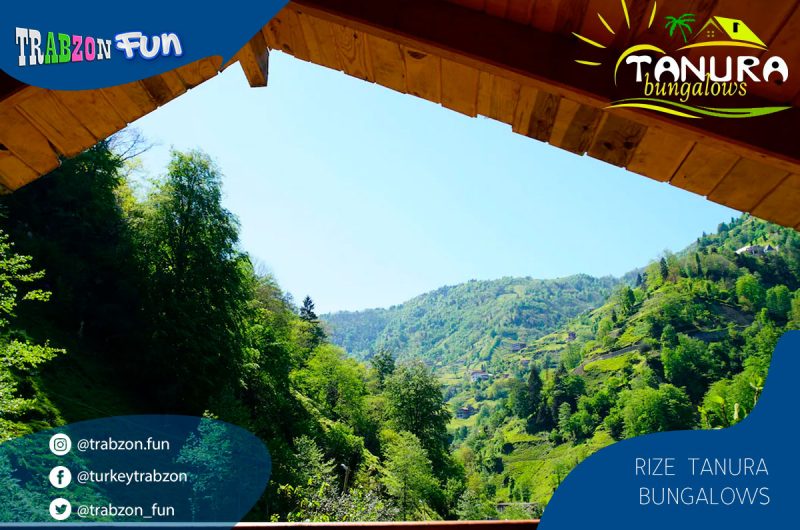 2. Tanura Bungalows افضل اكواخ ايدر أكواخ تنورة