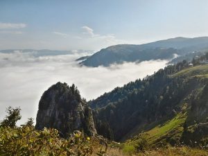 حيدرنبي